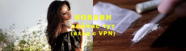стафф Арсеньев