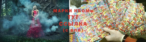 стафф Арсеньев