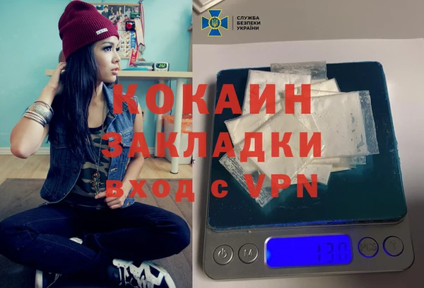 стафф Арсеньев