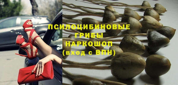 дживик Армянск
