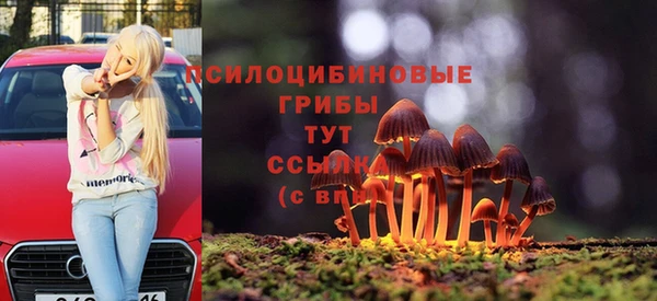 spice Аркадак