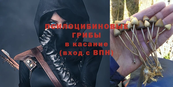 spice Аркадак