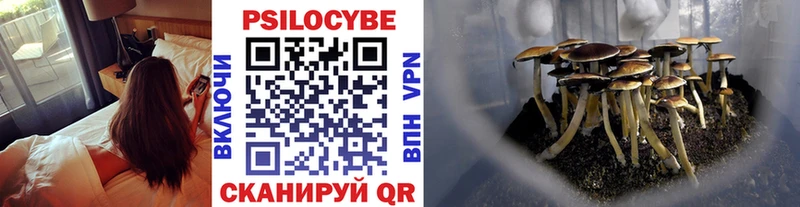 даркнет как зайти  hydra ТОР  Малоархангельск  Псилоцибиновые грибы Psilocybine cubensis 